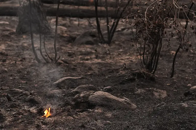 Embers-burn-in-a-wooded-area-behind-a-home-after-a-wildfire-hit-the-northern-part-of-Spokane-Wash-Monday-Aug-3-2026