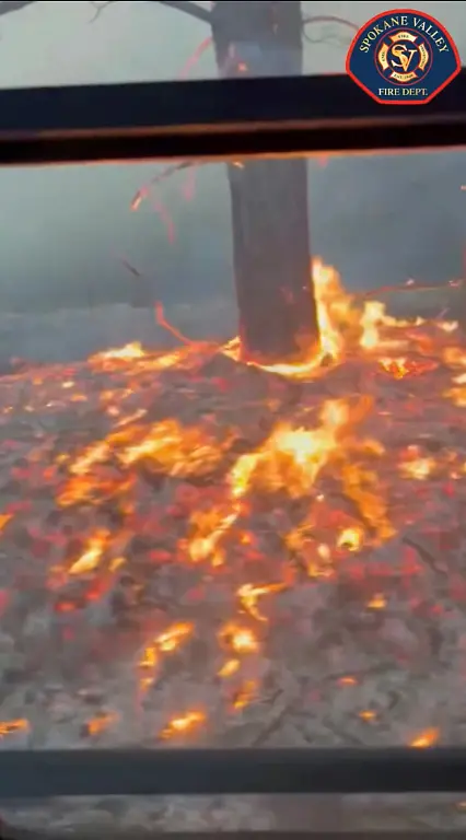 A-tree-burns-as-a-firefighting-crew-drives-through-wildfire-in-Spokane-Washington-U-S-August-3-2026-in-this-screengrab-taken-from-a-handout-video-Spokane-Valley-Fire-Department-Handout-via-REUTERS-THIS-IMAGE-HAS-BEEN-SUPPLIED-BY-A-THIRD-PARTY-MANDATORY-CREDIT-NO-RESALES-NO-ARCHIVES-LOGO-OVERLAY-FROM-SOURCE