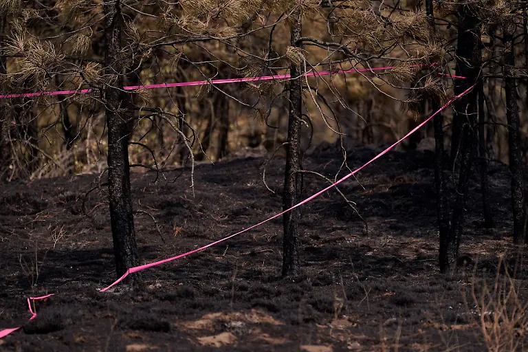 Pink-tape-surrounds-an-area-near-the-starting-point-of-the-Old-Trails-Fire-after-authorities-arrested-a-man-accused-of-deliberately-starting-one-of-three-fires-in-Spokane-Washington-U-S-August-4-2026