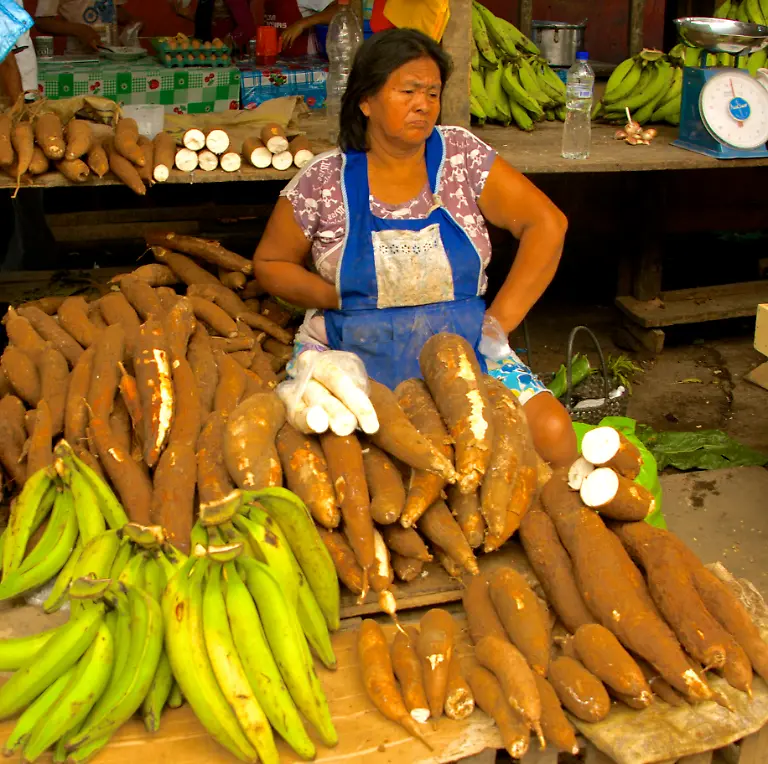 Yuca-vendor-at-belen-market-Iquitos-Peru-Yuca-x28-manioc-x29-vendor-at-Belen-market-Iquitos-Peru
