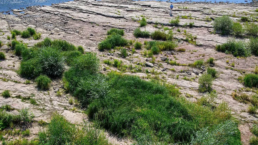 Der-Naturschutzbund-Sachsen-Anhalt-fordert-mehr-natuerlichen-Wasserrueckhalt-an-den-Fluessen