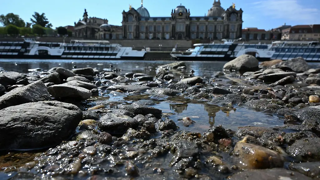 Der-Wasserstand-betrug-in-Dresden-am-Nachmittag-56-Zentimeter