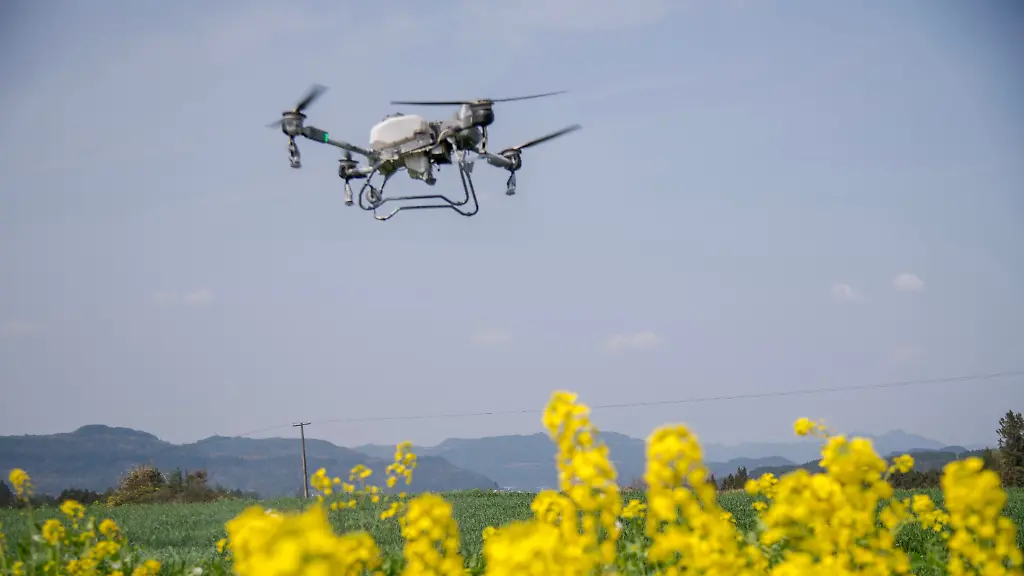 BAZHONG-CHINA-MARCH-5-2026-A-grain-grower-uses-a-crop-protection-drone-for-wheat-pest-control-and-fertilization-operations-in-high-standard-farmland-in-Tiefo-Town-Tongjiang-County-Bazhong-City-Sichuan-Province-China-on-March-5-2026