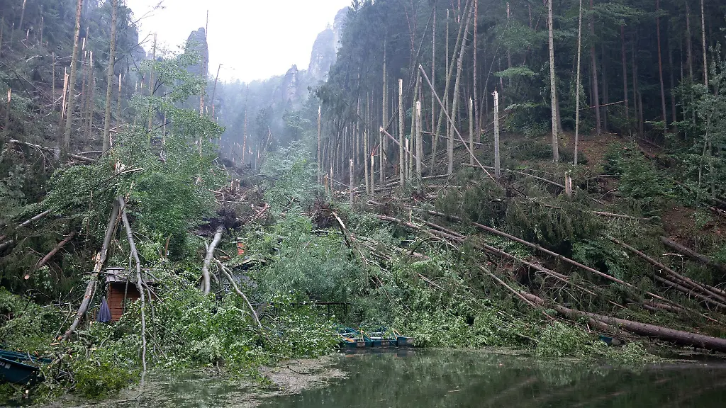 Nach-dem-schweren-Unwetter-laufen-in-der-Saechsischen-Schweiz-die-Aufraeumarbeiten