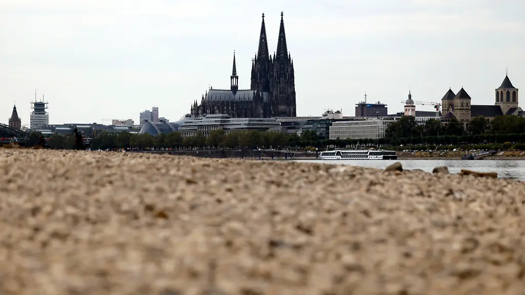 Der-Koelner-Dom-ragt-ueber-ausgetrocknetes-Flussbett-Der-Rheinpegel-ist-in-Koeln-und-Bonn-auf-einem-Rekordtief-Viele-Rheinwiesen-sind-verdorrt-und-versteppt-und-der-sonst-so-stolze-Fluss-hat-sich-tief-in-sein-Bett-zurueckgezogen-gibt-den-Blick-auf-trockene-Ufer-frei-Der-Pegel-lag-am-Wochenende-mit-67-cm-so-tief-wie-noch-nie-seit-der-Messung-Themenbild-Symbolbild-Koeln-29-07