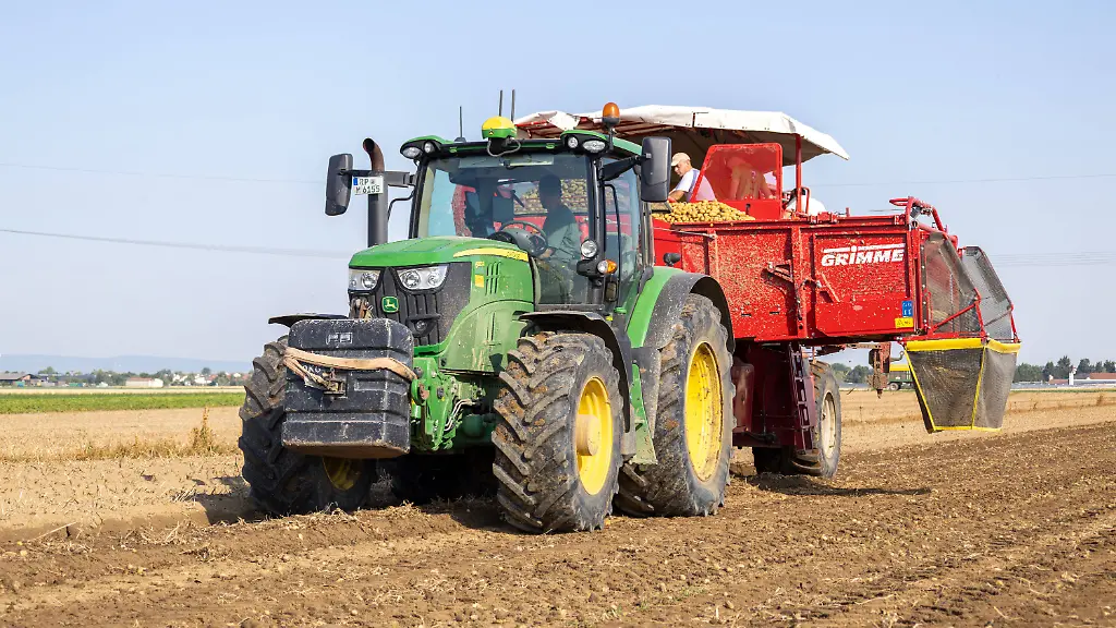 Kartoffelroden-von-Elodie-Frueh-Kartoffeln-im-Rhein-Pfalz-Kreis-Potato-Harvest-by-Elodie-Frueh-in-the-Rhine-Palatinate-District-detected-source-language-Copyright-xUdoxHerrmannx