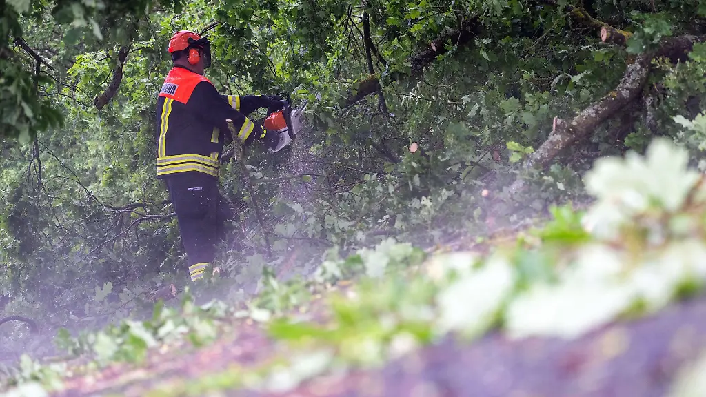 Feuerwehrleute-raeumten-die-Baeume-schnell-von-den-Autobahnen