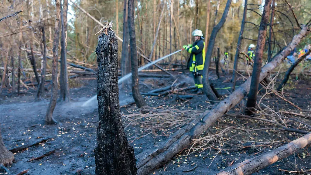 Nach-Angaben-der-Feuerwehr-stehen-inzwischen-rund-25-000-Quadratmeter-Fichtenwald-in-Flammen