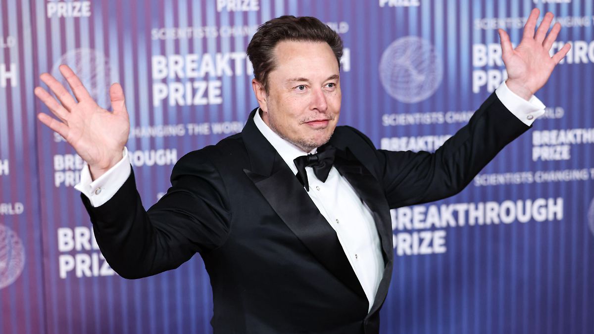 E-Auto-Prämie hilft nicht: Schlechtes Musk-Image lässt Teslas Marktanteil schrumpfen