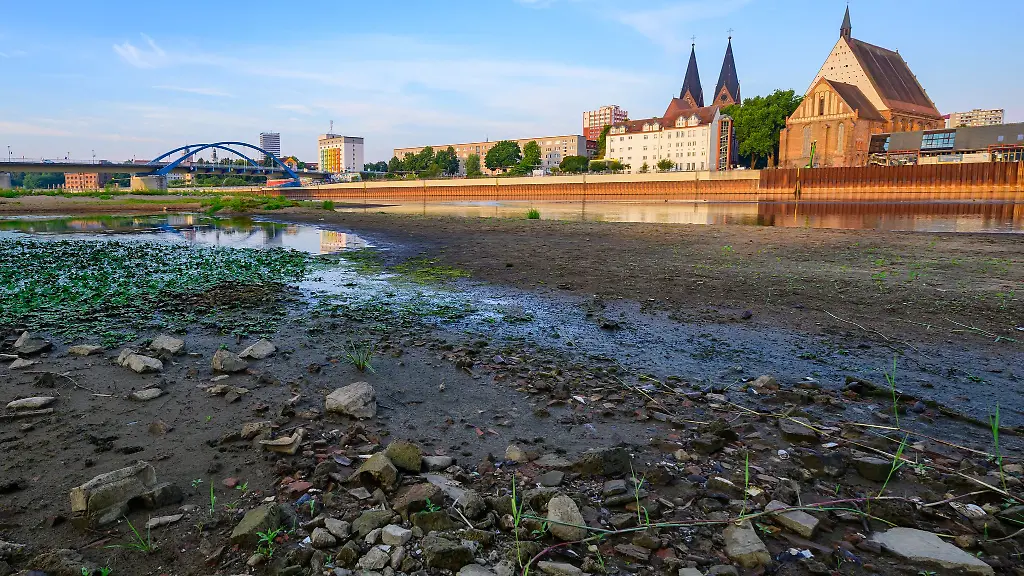 An-der-Oder-herrscht-Niedrigwasser