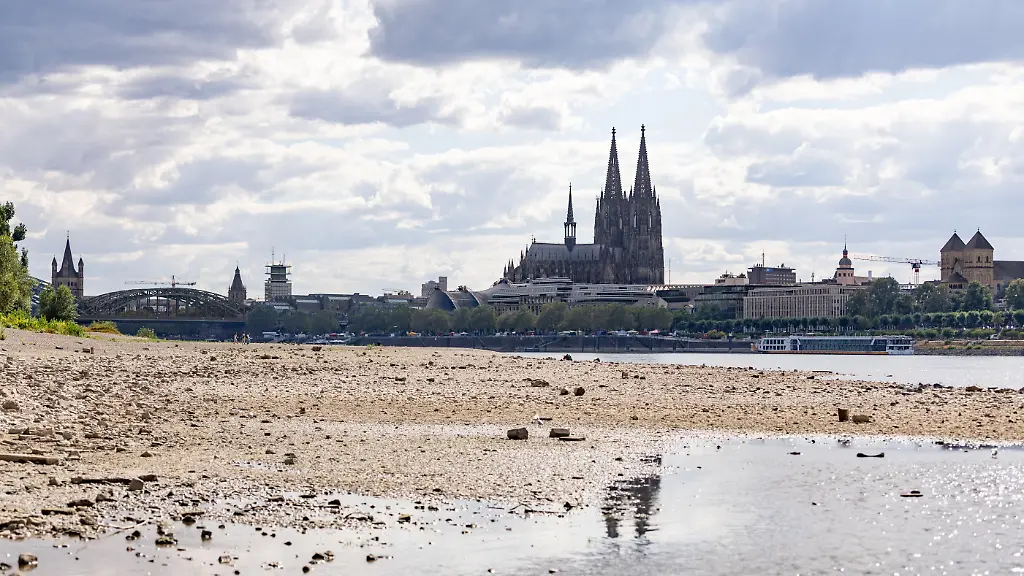 Blick-vom-Deutzer-Rheinufer-in-Koeln-auf-den-Koelner-Dom-auf-der-gegenueberliegenden-Rheinseite-Bei-einem-Pegelstand-von-69-cm-am-Pegel-Koeln-liegt-das-Flussbett-grossflaechig-trocken-das-Niedrigwasser-erreicht-damit-den-bisherigen-historischen-Tiefstwert-vom-23-Oktober-2018