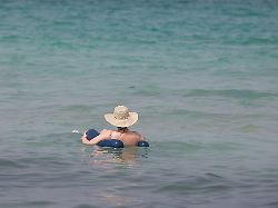 Mittelmeer wird zur Badewanne: Wasser vor Mallorca erreicht Rekordtemperatur