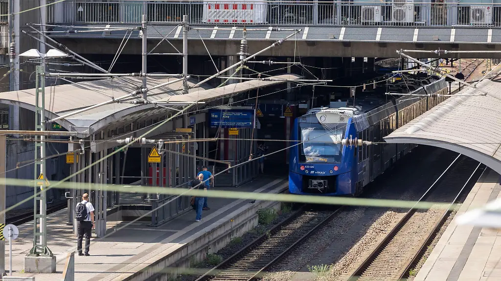 Nach-der-Fahrt-wurde-der-Greifvogel-am-Mainzer-Hauptbahnhof-uebergeben