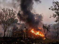Festnahme in Griechenland: Unternehmer sollen verheerenden Waldbrand ausgelöst haben
