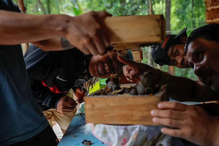 Marcio-Karai-R-an-Indigenous-leader-and-beekeeper-teaches-young-Guarani-men-to-collect-honey-and-wax-as-they-prepare-for-the-Nhemongarai-a-baptism-ritual-in-the-Jaragua-Indigenous-Territory-in-Sao-Paulo-Brazil-January-13-2024-Karai-is-afraid-future-generations-will-lose-interest-in-taking-care-of-the-stingless-bees-and-choose-higher-paying-jobs-instead-REUTERS-Amanda-Perobelli-SEARCH-PEROBELLI-BRAZIL-BEES-FOR-THIS-STORY-SEARCH-WIDER-IMAGE-FOR-ALL-STORIES