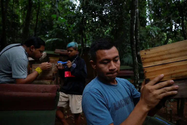 Marcio-Karai-L-an-Indigenous-leader-and-beekeeper-prepares-to-close-a-box-with-a-bee-nest-inside-after-collecting-honey-and-wax-as-he-teaches-young-Guarani-men-before-the-Nhemongarai-a-baptism-ritual-in-the-Jaragua-Indigenous-Territory-Sao-Paulo-Brazil-January-13-2024-Karai-is-afraid-future-generations-will-lose-interest-in-taking-care-of-the-stingless-bees-and-choose-higher-paying-jobs-instead-REUTERS-Amanda-Perobelli-SEARCH-PEROBELLI-BRAZIL-BEES-FOR-THIS-STORY-SEARCH-WIDER-IMAGE-FOR-ALL-STORIES