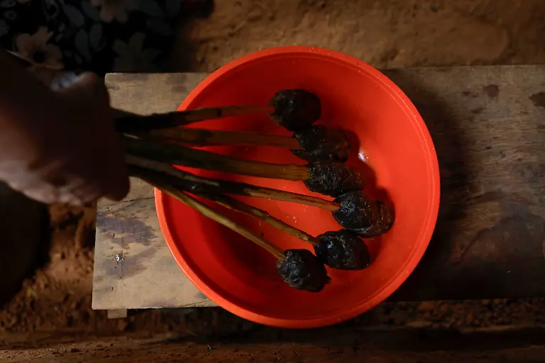 Marcio-Karai-an-Indigenous-leader-and-beekeeper-holds-beeswax-pellets-for-making-handmade-candles-a-Guarani-tradition-as-they-prepare-for-the-Nhemongarai-a-baptism-ritual-in-the-Jaragua-Indigenous-Territory-in-Sao-Paulo-Brazil-January-13-2024-The-honey-and-wax-produced-by-stingless-bees-play-important-roles-in-the-community-s-religious-ceremonies-REUTERS-Amanda-Perobelli-SEARCH-PEROBELLI-BRAZIL-BEES-FOR-THIS-STORY-SEARCH-WIDER-IMAGE-FOR-ALL-STORIES