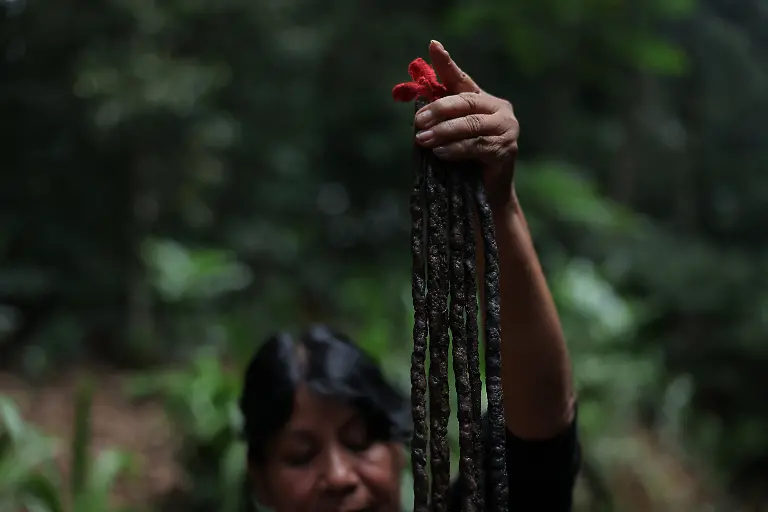 Irene-Mendonca-Marcio-Karai-s-mother-holds-newly-made-strips-to-be-cut-into-candles-made-by-melting-native-beeswax-collected-by-Marcio-and-applying-it-to-pieces-of-fabric-a-tradition-passed-down-through-generations-as-they-prepare-for-the-Nhemongarai-a-baptism-ritual-in-the-Jaragua-Indigenous-Territory-Sao-Paulo-Brazil-January-20-2026-The-candles-are-made-by-Guarani-women-Karai-says-explaining-that-the-spiritual-world-is-strengthened-through-feminine-spirituality-REUTERS-Amanda-Perobelli-SEARCH-PEROBELLI-BRAZIL-BEES-FOR-THIS-STORY-SEARCH-WIDER-IMAGE-FOR-ALL-STORIES