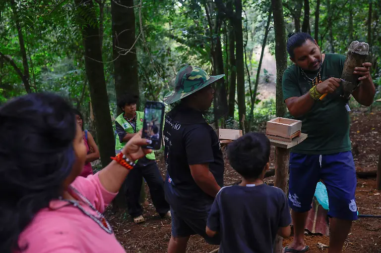 Marcio-Karai-R-an-Indigenous-leader-and-stingless-beekeeper-teaches-Luan-Pablo-Karai-Jeguaka-C-how-to-transfer-a-nest-and-raise-native-bees-at-Itakupe-village-in-the-Jaragua-Indigenous-Territory-in-Sao-Paulo-Brazil-April-12-2025-Karai-is-afraid-future-generations-will-lose-interest-in-taking-care-of-the-stingless-bees-and-choose-higher-paying-jobs-instead-REUTERS-Amanda-Perobelli-SEARCH-PEROBELLI-BRAZIL-BEES-FOR-THIS-STORY-SEARCH-WIDER-IMAGE-FOR-ALL-STORIES