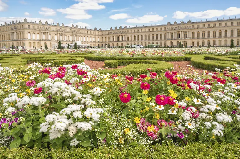 Akkurat-geschnittene-Buchsbaum-Topiary-und-Blumenbeete-eingebettet-in-die-geometrischen-Gartenanlagen-von-Andre-Le-Notre-vor-dem-monumentalen-Suedfluegel-von-dem-UNESCO-Welterbe-Schloss-Versailles-Versailles-Departement-Yvelines-Region-Ile-de-France-Frankreich