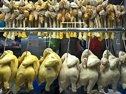 Vor allem Geflügel betroffen: Deutschland produziert weniger Fleisch