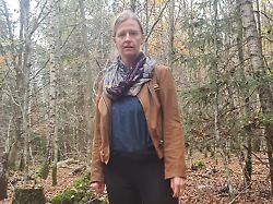 Vor vier Jahren verschwunden: Zeugen wollen vermisste Frau aus Bayern an der Ostsee gesehen haben