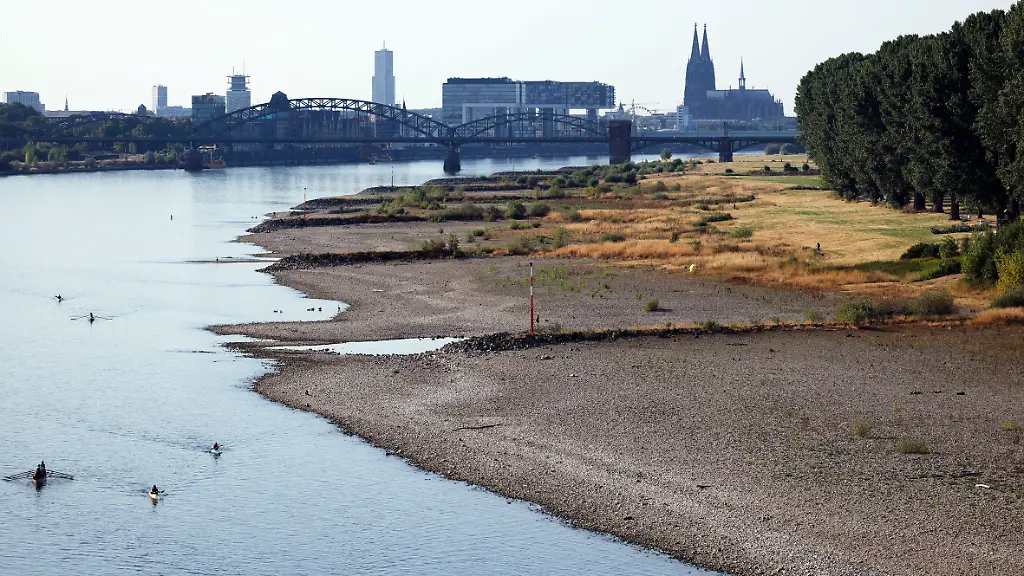 Der-Rhein-mit-Niedrigwasser-auf-Hoehe-der-trockenen-Rheinwiesen-bei-Koeln-Poll-Der-Rhein-hat-sich-tief-in-sein-Bett-zurueckgezogen-und-gibt-den-Blick-auf-trockene-Ufer-frei-Der-Pegel-liegt-mit-70cm-nur-knapp-unter-historischen-Tiefststaenden-Themenbild-Symbolbild-Koeln-29-07