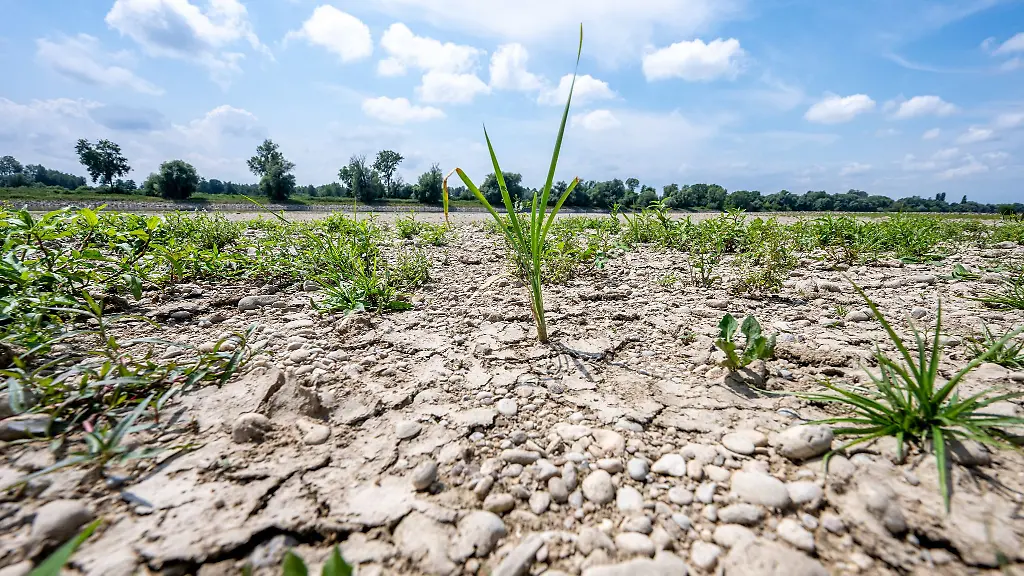 Viele-Fluesse-in-Brandenburg-fuehren-derzeit-Niedrigwasser