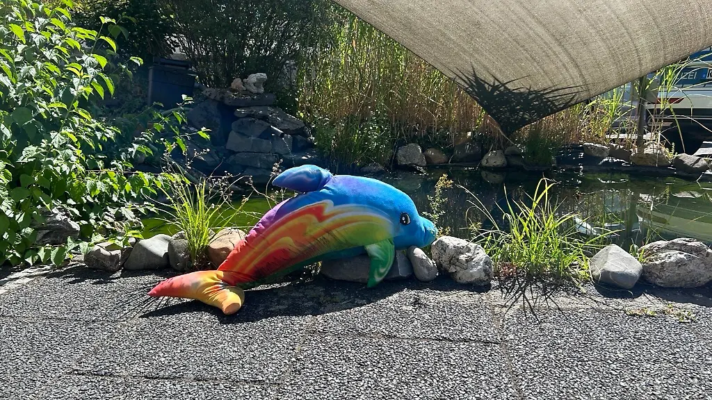 Wer-das-Delfin-Kuscheltier-vermisst-kann-sich-bei-der-Polizei-melden