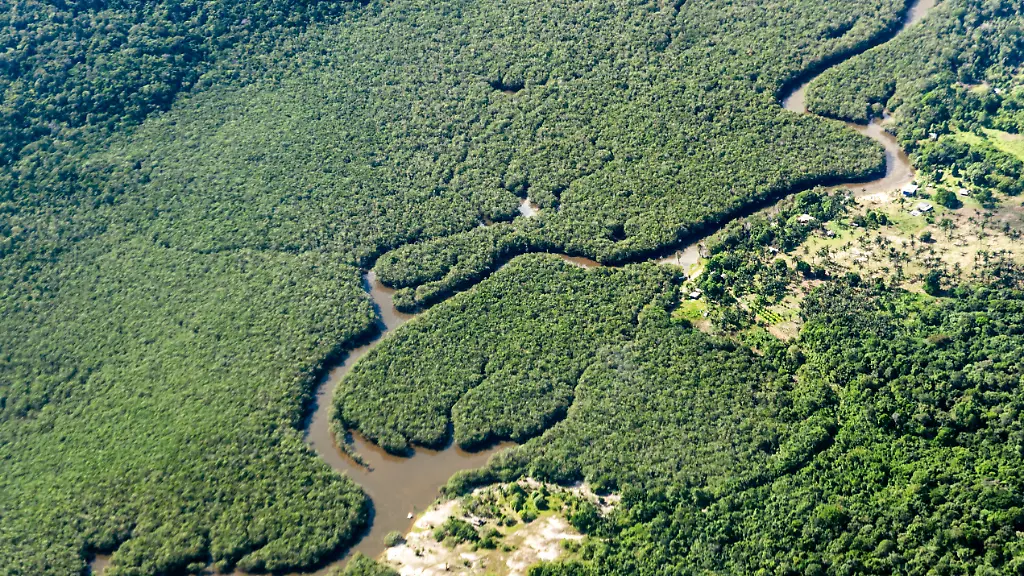 Ein-kleiner-Fluss-schlaengelt-sich-durch-den-Regenwald-im-Amazonasgebiet-Der-weltweit-groesste-tropische-Regenwald-wird-von-Tausenden-Fluessen-durchzogen