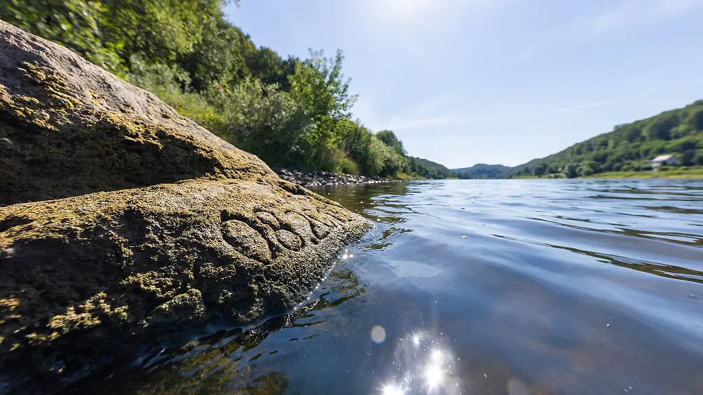 Der-Hungerstein-in-der-Elbe-bei-Pirna-Oberposta-zeigt-eingemeisselte-Jahreszahlen-vergangener-Niedrigwasserjahre