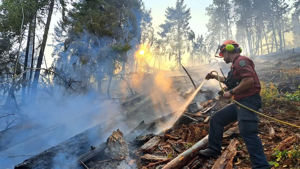 260809-OTTAWA-Aug-9-2026-Xinhua-This-photo-provided-by-the-BC-Wildfire-Service-on-Aug-8-2026-shows-a-firefighter-putting-out-a-wildfire-near-Vernon-in-the-Southern-Interior-of-British-Columbia-Canada-The-western-Canadian-province-of-British-Columbia-B-C-declared-a-provincial-state-of-emergency-on-Saturday-as-fast-spreading-wildfires-threatened-several-communities