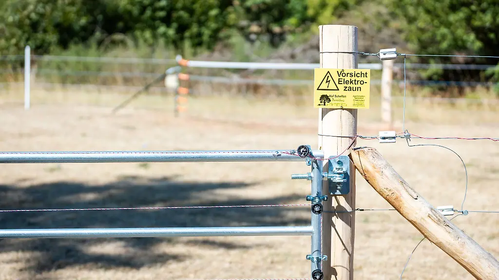 Fuer-einen-effektiven-Schutz-vor-Woelfen-muessen-nicht-nur-Zaeune-sondern-auch-Tore-und-Gatter-unter-Strom-gesetzt-werden
