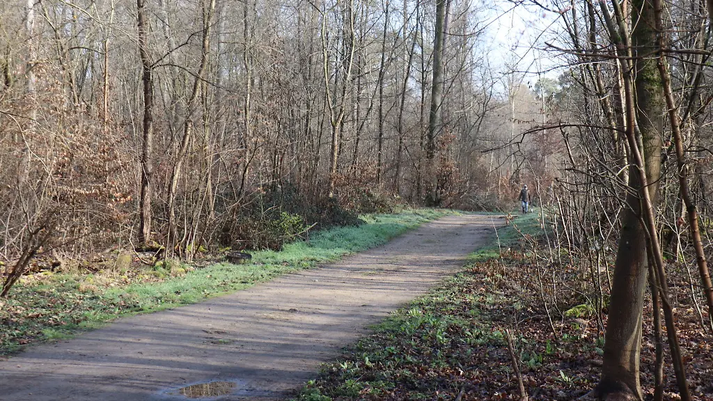 Die-Leiche-wurde-in-einem-Wald-bei-Mannheim-gefunden