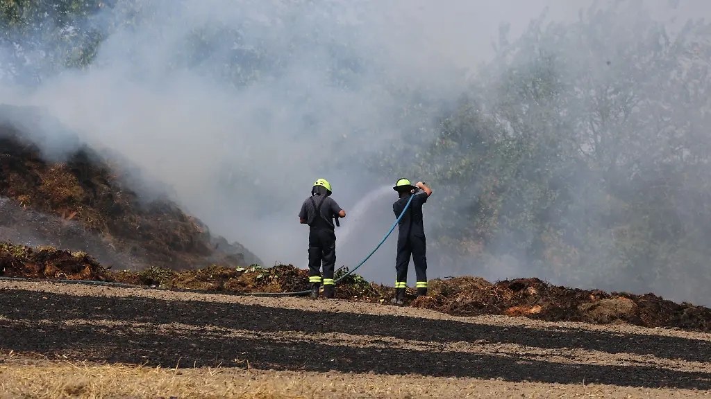 Feuerwehrleute-sind-wegen-eines-Feldbrandes-im-Einsatz