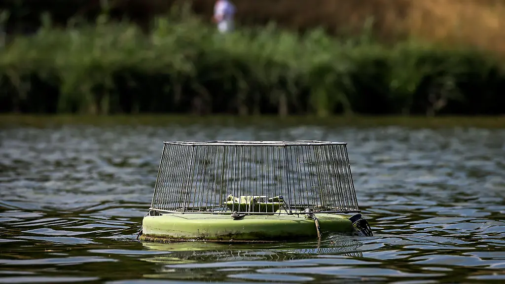 Ein-Belueftungsgeraet-schwimmt-auf-dem-Aasee-in-Muenster