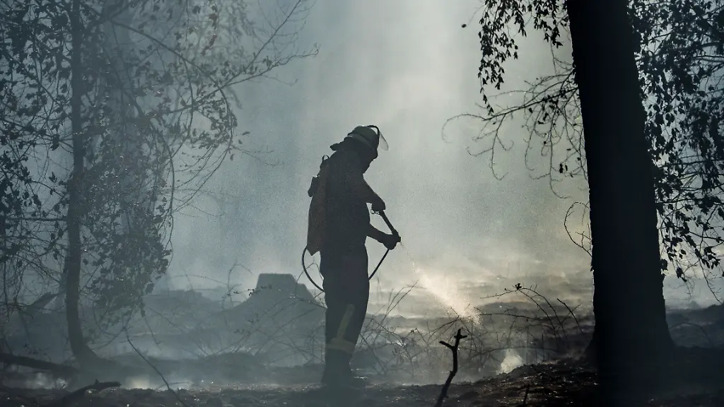 Ein-Feuerwehrmann-ist-mit-Loescharbeiten-in-einem-Waldstueck-beschaeftigt-Gleich-vor-mehreren-Braenden-in-einem-Waldstueck-zwischen-Ober-und-Niederrodenbach-warnte-die-Integrierte-Leitstelle-im-Main-Kinzig-Kreis-ueber-Katwarn-Nach-bisherigem-Stand-ist-eine-Waldflaeche-von-mehreren-tausend-Quadratmetern-betroffen-sagte-ein-Polizeisprecher-am-fruehen-Abend