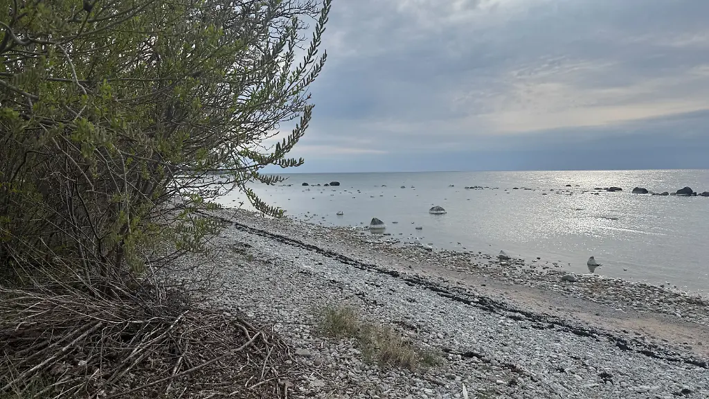 Die-schwedische-Insel-Gotland-und-ihr-Hauptort-Visby-mit-seinem-historischen-Kern-sind-vor-allem-im-Sommer-ein-beliebtes-Urlaubsziel