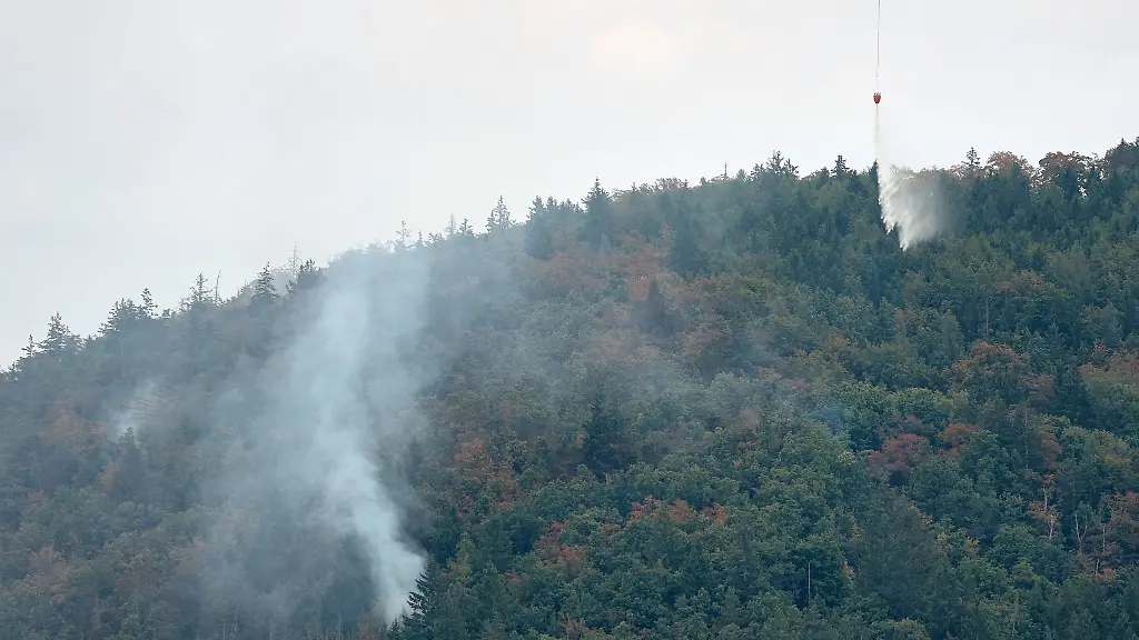 Waldbraende-nehmen-zu-der-Bund-Naturschutz-mahnt-zur-Eile-beim-Waldumbau-in-Bayern