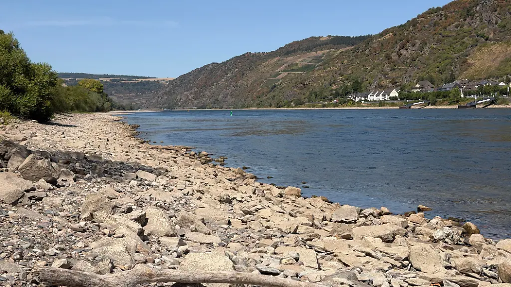 Der-Mittelrhein-mit-Niedrigwasser-im-trockenen-Sommer-bei-Kaub-Rheinland-Pfalz-Deutschland