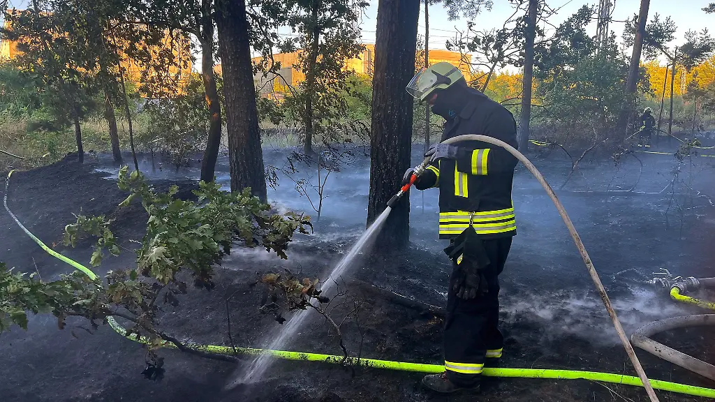 Loescheinsatz-der-Feuerwehr-am-Dienstagabend-bei-einem-Waldbrand-in-Zeischa-im-Sueden-Brandenburgs