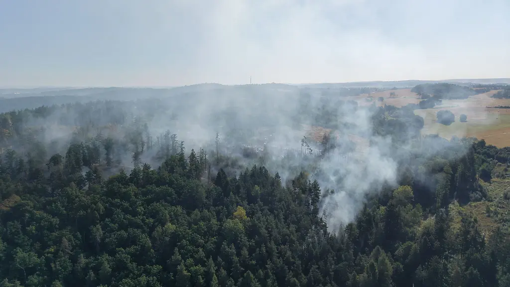 Der-Waldbrand-bei-Plauen-erstreckt-sich-auf-einer-Flaeche-von-sieben-Hektar-und-ist-unter-Kontrolle