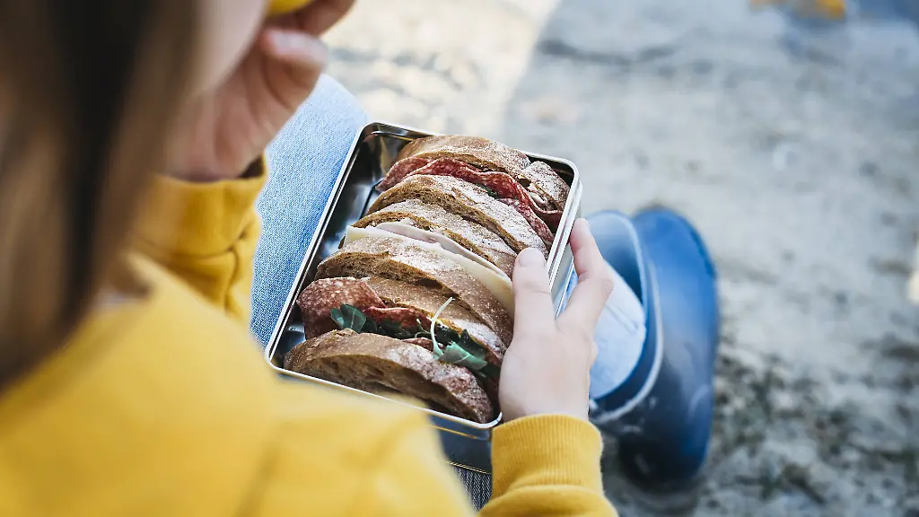 Alternativen-zu-klassischen-Tupperdosen-Diese-Brotdosen-eignen-sich-fuer-den-Schulalltag