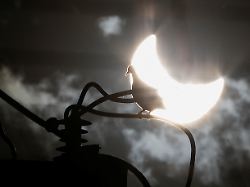 Keine Sonne, kein Solarstrom : Britische Haushalte erhalten Gratisstrom für Mitarbeit bei Sonnenfinsternis