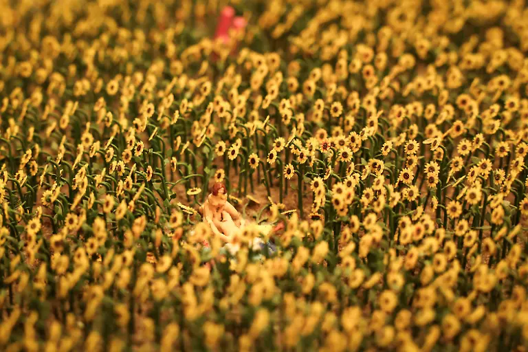 Ein-Liebespaar-im-Sonnenblumenfeld-ist-im-Miniatur-Wunderland-zu-sehen-Die-Brueder-Gerrit-und-Frederik-Braun-haben-2001-die-mittlerweile-groesste-Modelleisenbahnanlage-der-Welt-in-der-Speicherstadt-eroeffnet-und-damit-eine-Rekord-Touristen-Attraktion