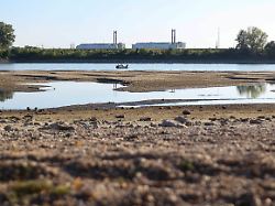 Kühlwasser wird knapp: Welche Folgen haben Hitze und Trockenheit für Europas Stromversorgung?