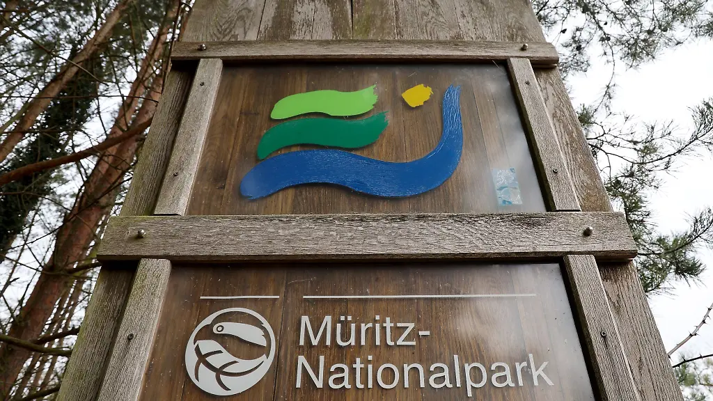 Schon-wieder-brennt-es-im-Mueritz-Nationalpark