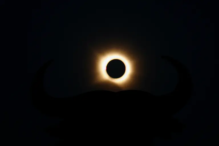 The-moon-completely-covers-the-sun-during-a-solar-eclipse-near-the-silhouette-of-an-Osborne-Bull-in-Navarrete-northern-Spain-August-12-2026
