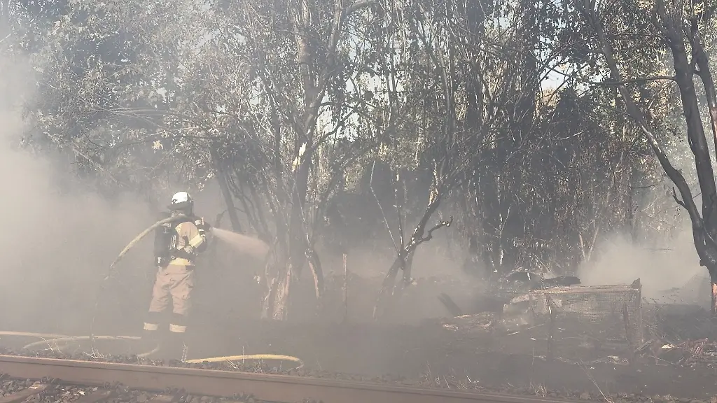 Zahlreiche-Feuerwehrleute-kaempfen-ueber-Stunden-gegen-den-Boeschungsbrand