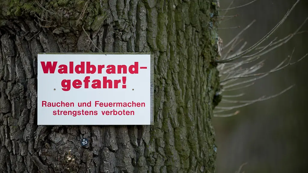 In-neun-Landkreisen-in-Brandenburg-ist-die-Gefahr-fuer-Waldbraende-hoch